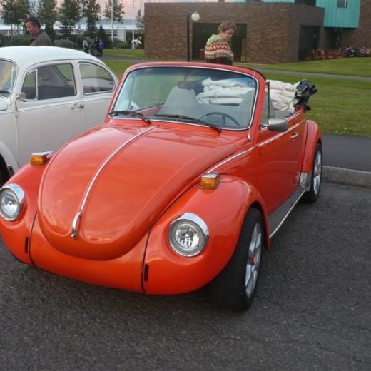 crop-p1070626__medium_