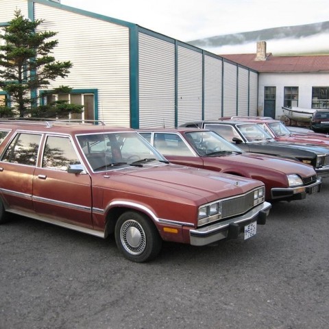 crop-14.72010_021__large_