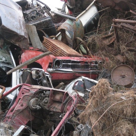 crop-14.72010_027__large_