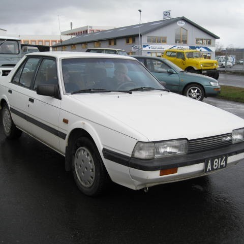 crop-forndilask10_031