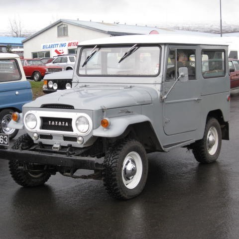 crop-forndilask10_034