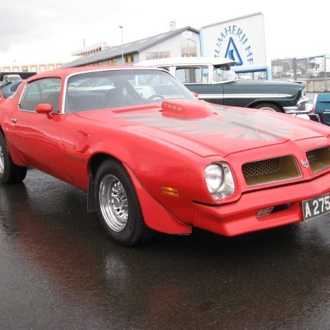 crop-forndilask10_027