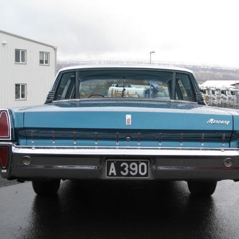 crop-forndilask10_054