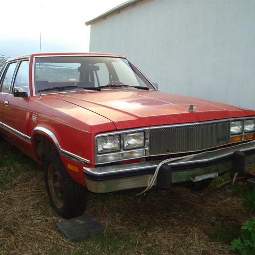 crop-19.05.2010_007__large_