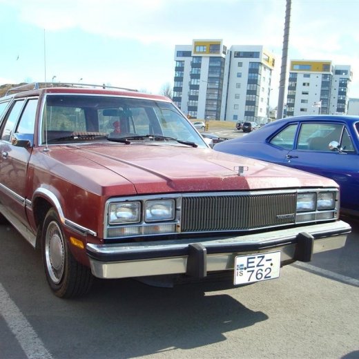 crop-22.04.2010_014__large_