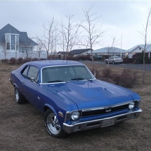 crop-p1060924__small_