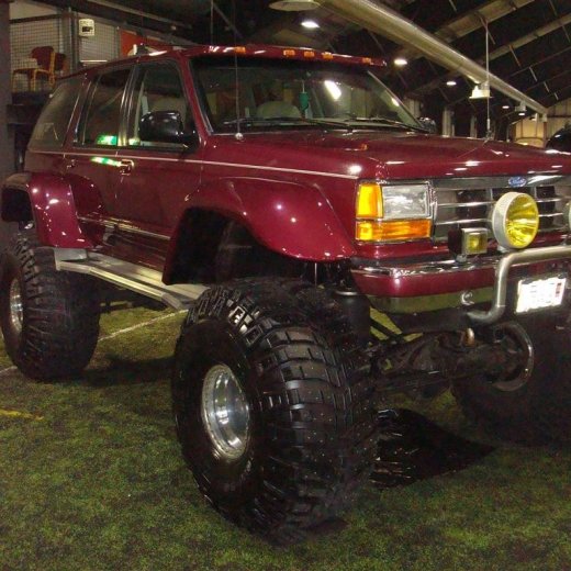 crop-13.02.2010_003__large_