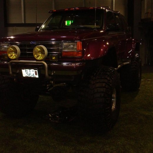 crop-13.02.2010_004__large_