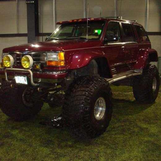 crop-13.02.2010_005__large_