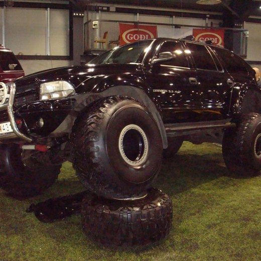 crop-13.02.2010_006__large_