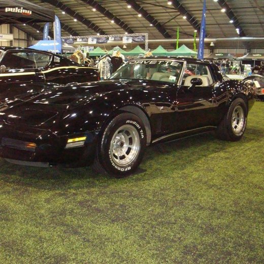 crop-13.02.2010_011__large_