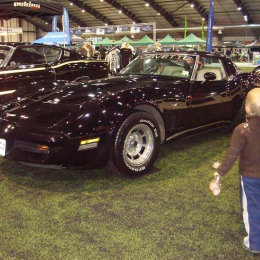 crop-13.02.2010_012__large_