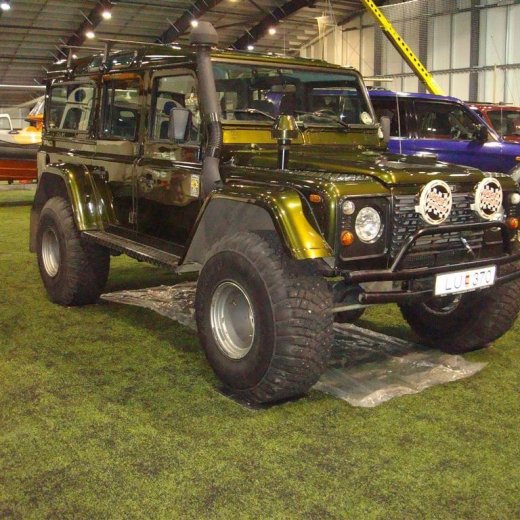 crop-13.02.2010_014__large_