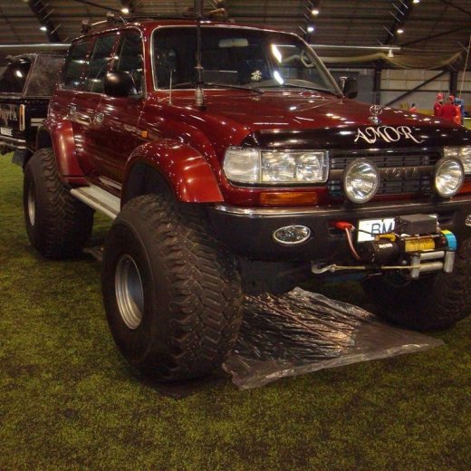 crop-13.02.2010_016__large_