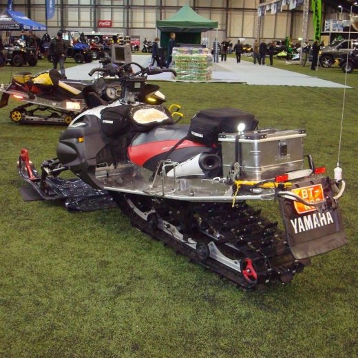 crop-13.02.2010_032__large_