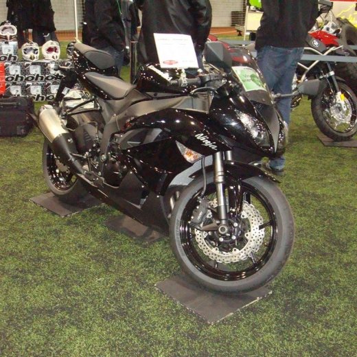 crop-13.02.2010_038__large_