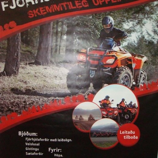 crop-13.02.2010_088__large_