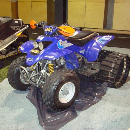 crop-13.02.2010_093__large_