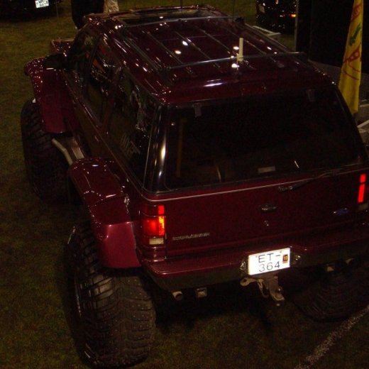 crop-13.02.2010_130__large_