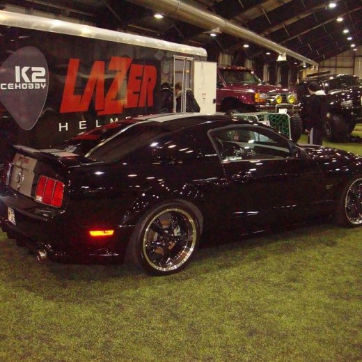 crop-13.02.2010_135__large_