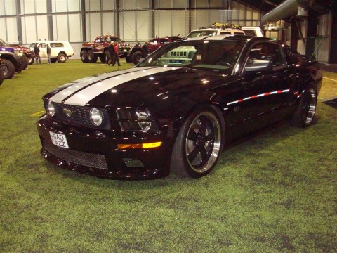 13.02.2010_010__large_