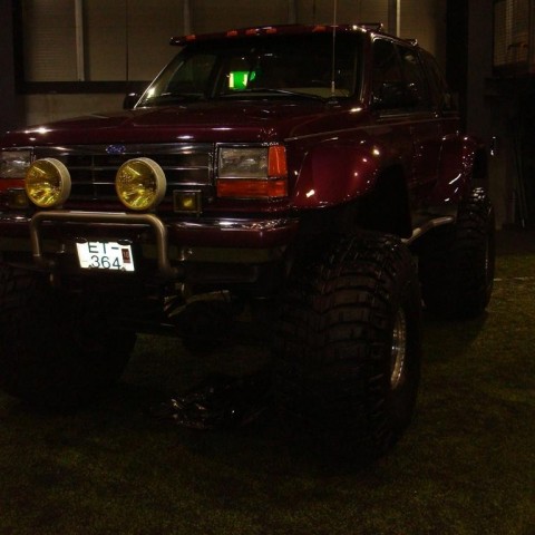 crop-13.02.2010_004__large_