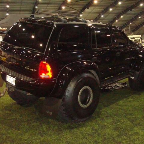 crop-13.02.2010_007__large_