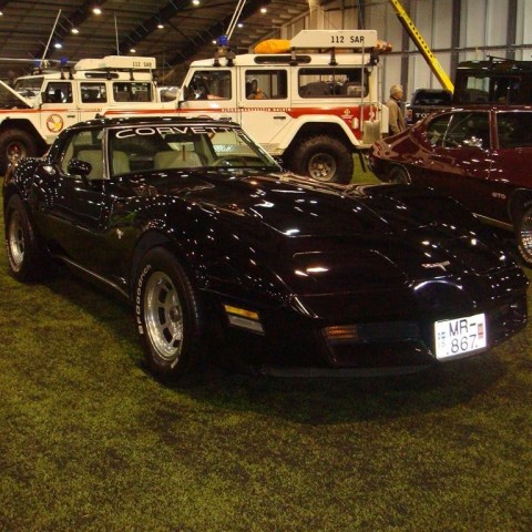 crop-13.02.2010_009__large_