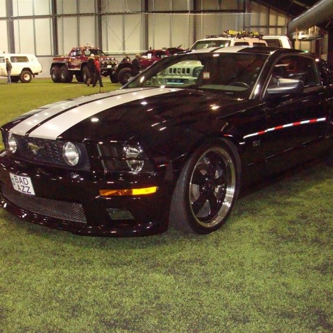 crop-13.02.2010_010__large_