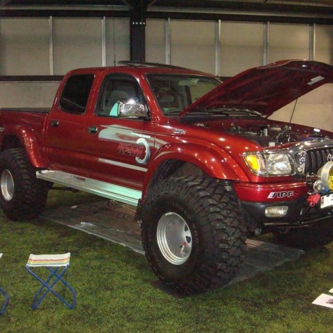 crop-13.02.2010_017__large_