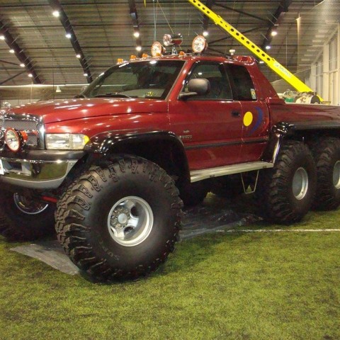 crop-13.02.2010_020__large_