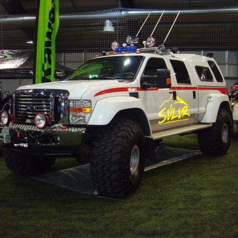 crop-13.02.2010_034__large_