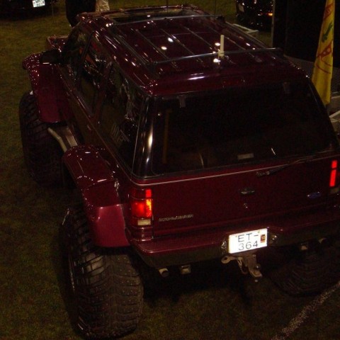 crop-13.02.2010_130__large_