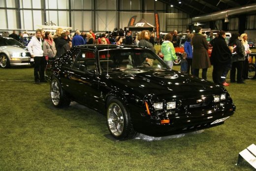 2011_b_ladagar_081__large_