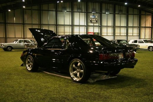 2011_b_ladagar_121__large_