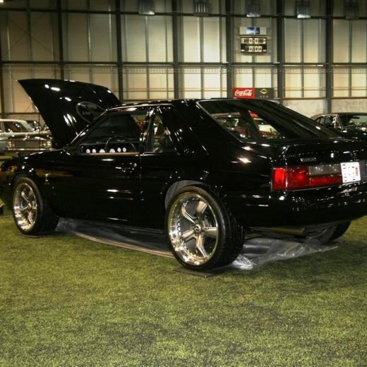 crop-2011_b_ladagar_120__large_