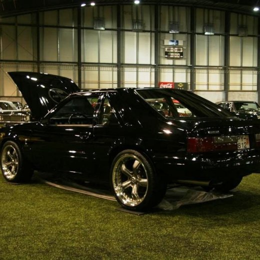 crop-2011_b_ladagar_121__large_