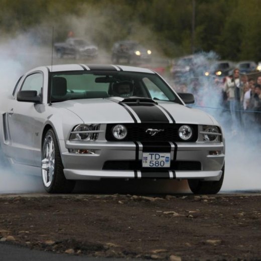 crop-2011_ba_219__large_