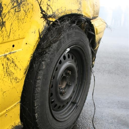 crop-2011_ba_2259__large_