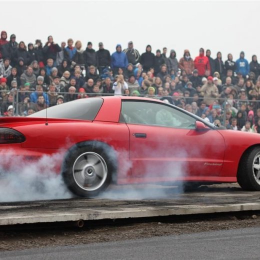 crop-2011_ba_261__large_