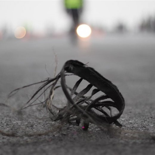 crop-2011_ba_448__large_