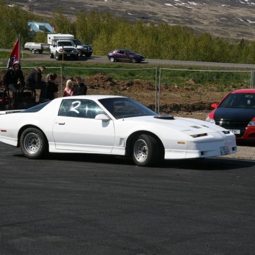 crop-2011_b_ladagar_175__large_