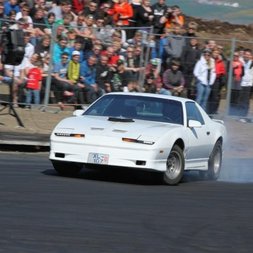 crop-2011_ba_1485__large_