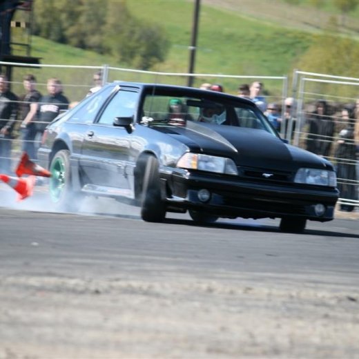 crop-2011_ba_3022__large_