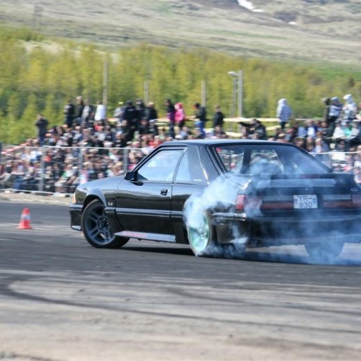 crop-2011_ba_3217__large_