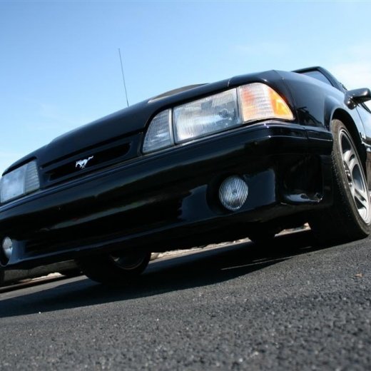 crop-2011_ba_3259__large_