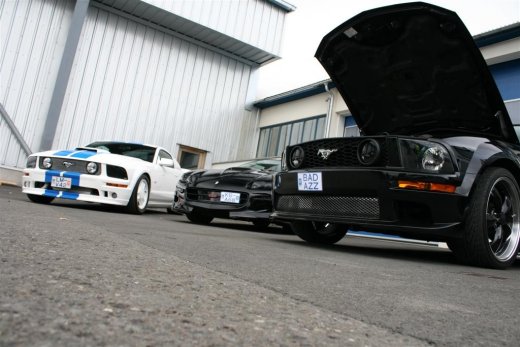 2011_ba_2903__large_