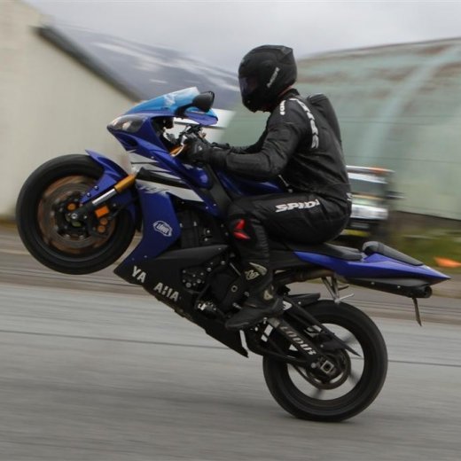 crop-2011_ba_1105__large_