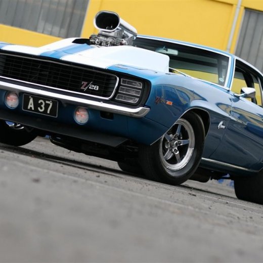 crop-2011_ba_2429__large_