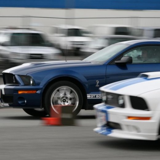 crop-2011_ba_2566__large_